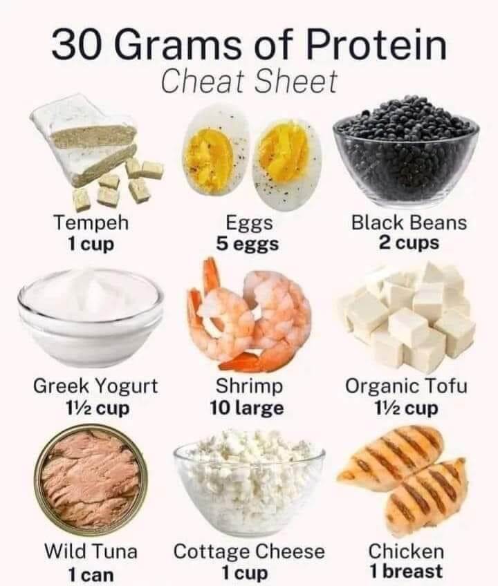 Protein Diet